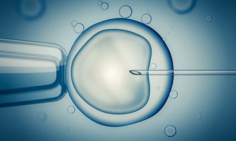 In Vitro Fertilization (IVF)